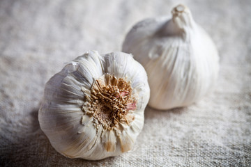 fresh garlic
