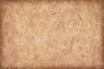 Animal Skin Parchment Grunge Texture Sample