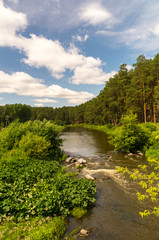 Уральская река в лесу