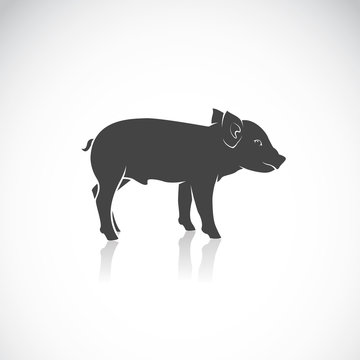 Vector image of a piglet