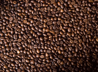 Numerous coffee beans which have been scattered all over the sur