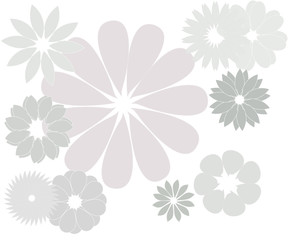 magic gray flower on a white background