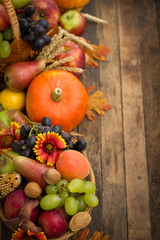 Naklejka na ściany i meble Autumn harvest