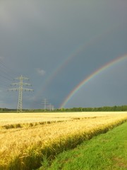 Doppelter Regenbogen über Getreidefeld und Strommasten