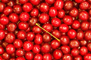 Cherries background