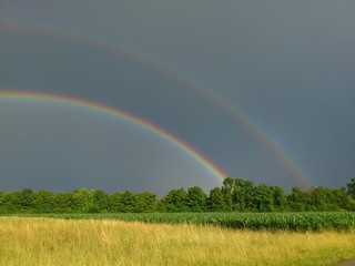 Doppelter Regenbogen über Bäumen und Feldern