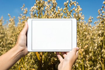 Tablet im Hafer gehalten