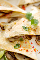 Mushroom quesadilla. Vegetarian dish