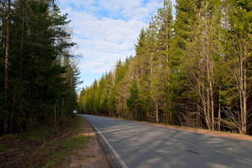 Fototapeta na wymiar Asphalt road in the forest with a moving truck on it.