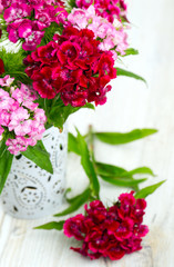 Obraz na płótnie Canvas small carnation (dianthus barbatus) flowers on wooden surface