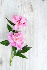 peony flowers on wooden surface