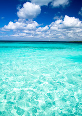 Fototapeta na wymiar Tropical landscape - beautiful beach with blue ocean and clear sky 