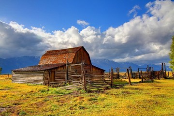 Obraz premium Mormon Row Barn in the Grand Tetons