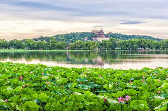 Summer Palace