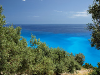 olive tree and view of the Kamari beach Oia Santorini Greece