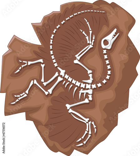 "Cartoon Archeopteryx fossil" Stock image and royalty-free vector files