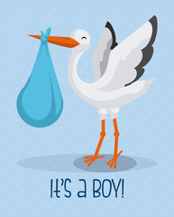 Baby shower design