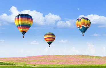 Obraz premium Hot air balloon over pink cosmos fields with blue sky background