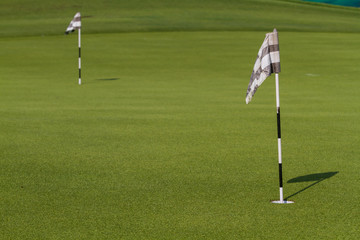 Obraz premium Green and Hole Flag