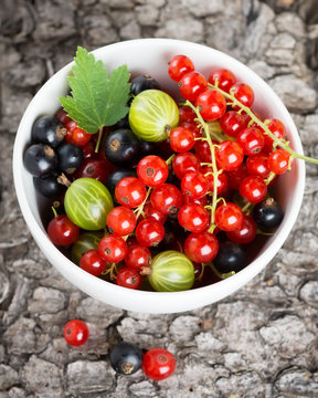 Fresh currants berries in bowl