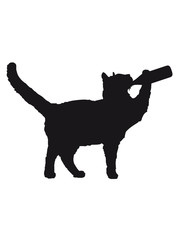 Party Katze mit Kopfhörer  trinkt Bier Alkohol