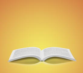 Open book isolated soft background