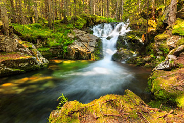 Beautiful cascade waterfall in the forest,Retezat,Romania