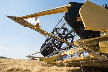 Fototapeta premium in front of combine