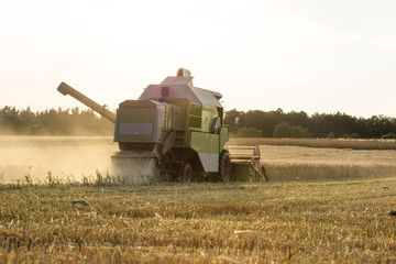 farmer at work