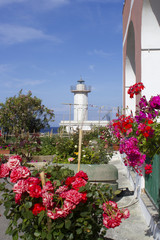 lighthouse of ventotene and flowers