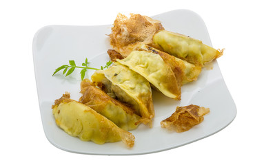 Japan dumplings - gyoza