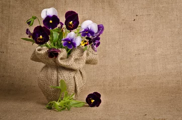 Wall murals Pansies Beautiful pansy flowers on burlap background
