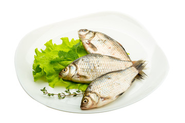 Crucian fish