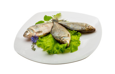 Crucian fish