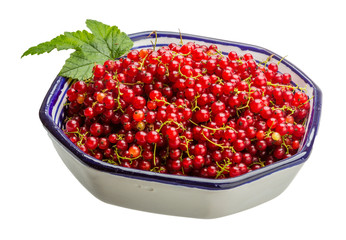 Red currant