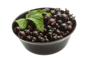 Black currant