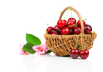 fresh cherries in a wicker basket isolated on white background