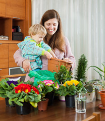 Female gardener transplanting potted flowers  in home