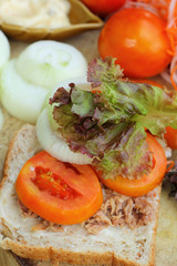 making tuna sandwich with fresh vegetables