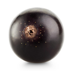 black currant