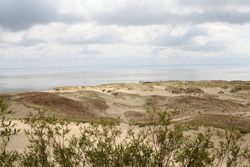 Fototapeta na wymiar Dead sand dunes,Neringa