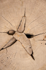 Pattern of wood