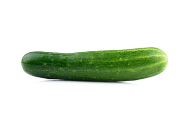 A fresh and tasty green vine ripened garden grown cucumber isola