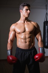 Shirtless muscular boxer in health club