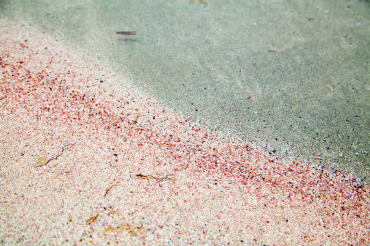 pink sand in Balos lagoon