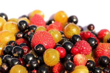 Weltmeister-Beeren