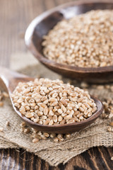 Portion of Wheat Grains