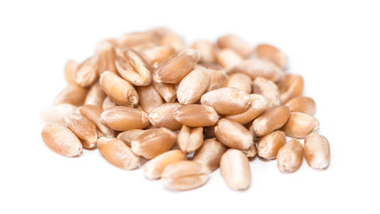 Wheat Grains (isolated on white)