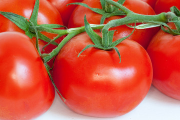 Tomates en grappe sur fond blanc