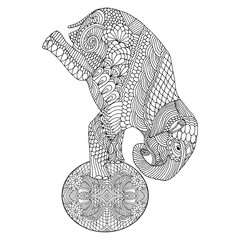 Elephant on ball